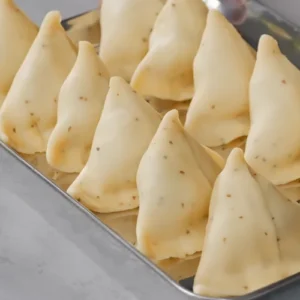 crispy samosa